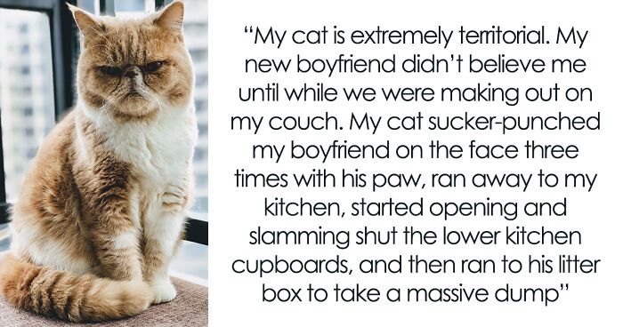 People Are Sharing 87 Funny, Bizarre, And Wholesome Quirks Of Their Pets