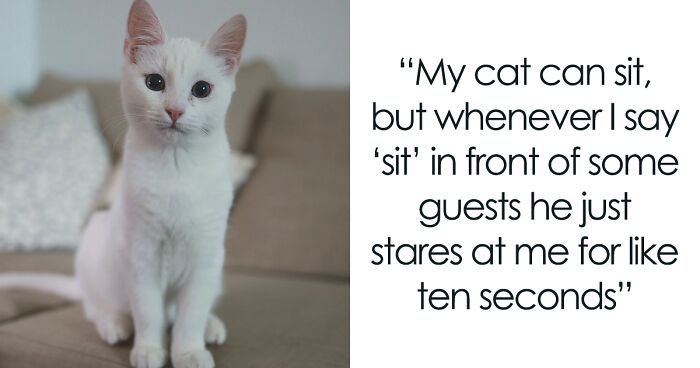 Pet Owners Share The Most Unbelievable Quirks Their Furry Friends Have