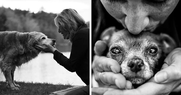 This Photographer Captures The Last Moments People Share With Their Pets Before They Cross The “Rainbow Bridge” (17 Pics)