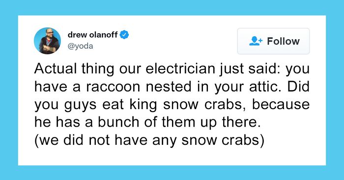 This Man Found Out There’s A Raccoon Living In His Attic, Live-Tweets The Whole Thing