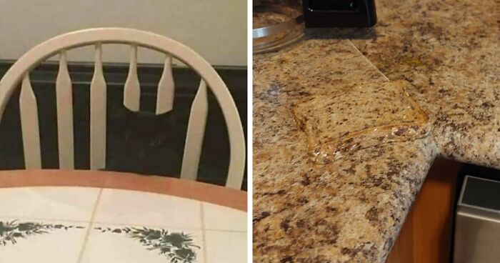 People Share Accidental Camouflage Examples And Here Are 50 Of The Best Photos (New Pics)