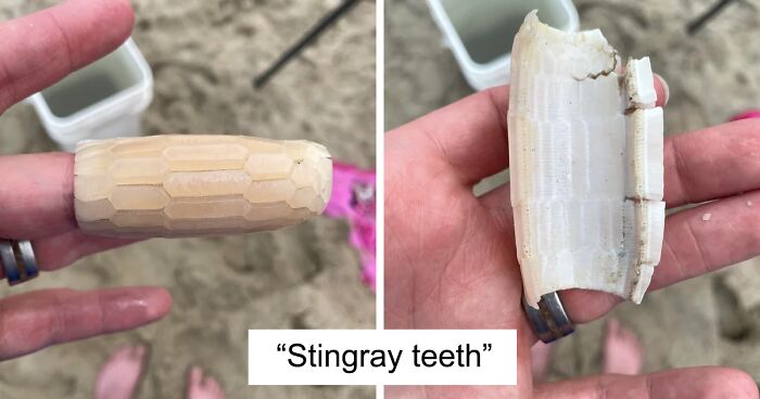 117 Times People Had No Idea What They Were Looking At And Asked The Internet For Help (New Pics)