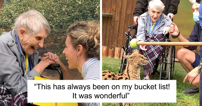 Animal Enthusiast Betty Was Surprised By A Unique Nose-To-Nose Experience With A Serval Cat