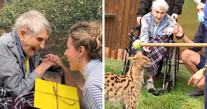 This 100-Year-Old Woman Had A Lifelong Ambition To Meet A Serval Cat And Her Dream Came True