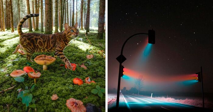 120 Beautiful And Stunning Photographs Showing How Beautiful Our World Is