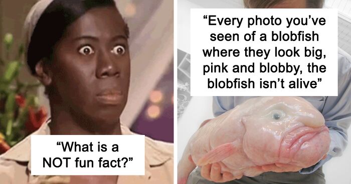 81 Not-So-Fun Facts That Might Make You Uneasy, Revealed In This Viral Thread