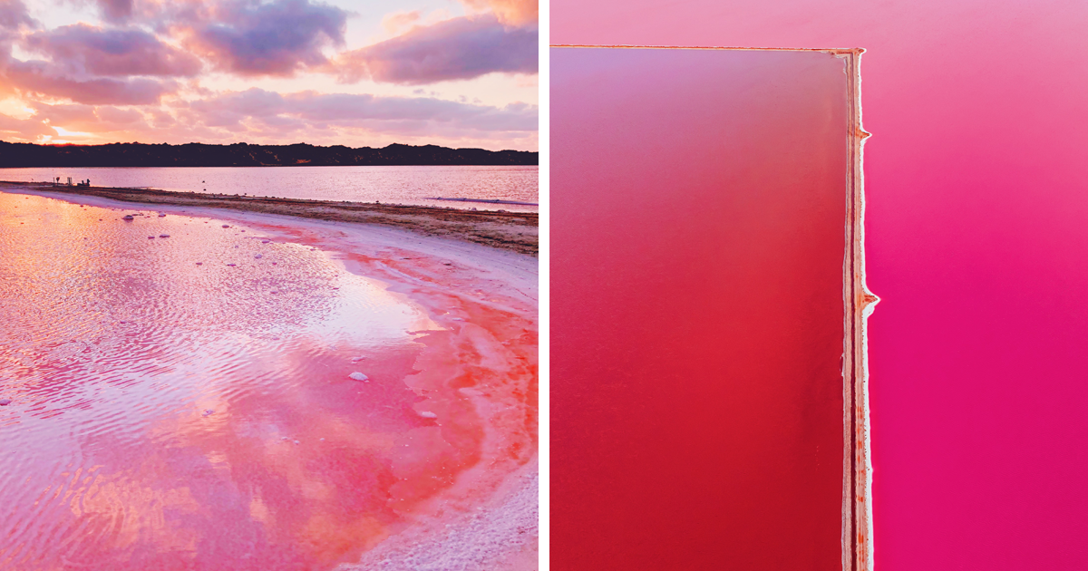 I Captured The Magic Of Pink Lagoon In Western Australia Pics