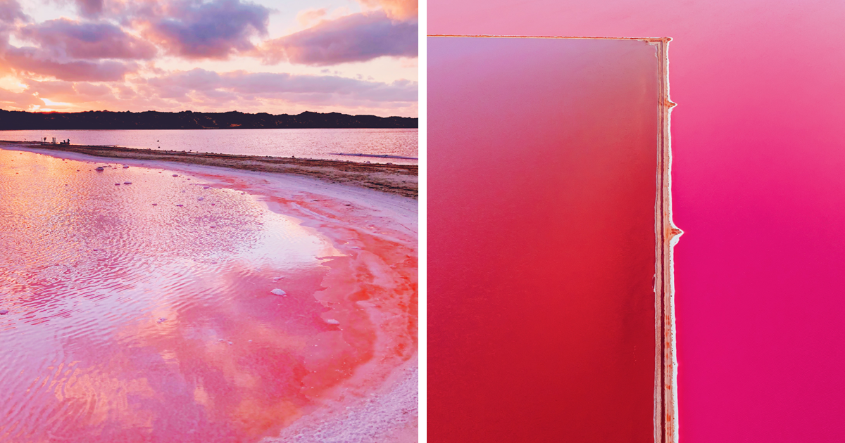 I Captured The Magic Of Pink Lagoon In Western Australia 20 Pics Pedfire 