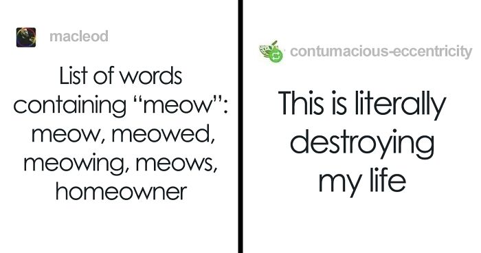 37 Times People Were Incredibly Frustrated With How Bizarre The English Language Is