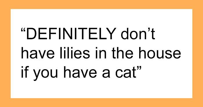 Vets Share Things People Can Do To Improve The Lives Of Their Furry Friends