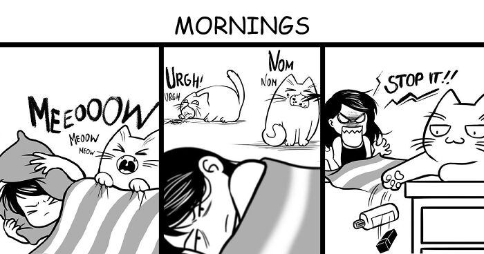 19 New Fun Comics By Vernessa Himmler That Capture Her Life With Two Cheeky Cats