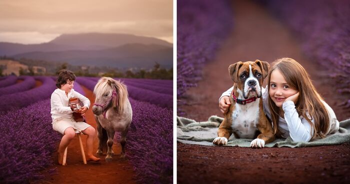 Here Are My 10 Photos Of Kids And Animals Having Fun Together At The Lavender Fields