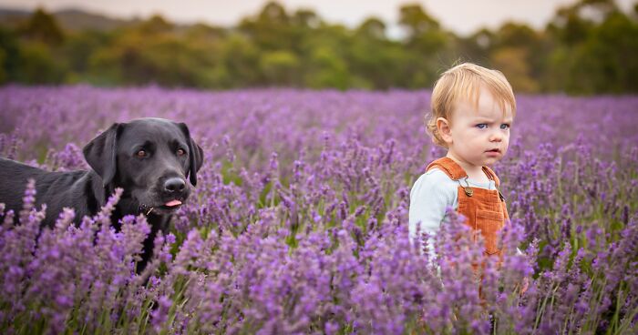 Though They Said Never To Work With Kids Or Animals In Photography, I Found My Happiness Doing Just That