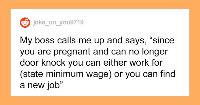 Pregnant Woman Gets Fired By Her Delusional Boss, Drama Ensues, Lawyers And Police Get Involved