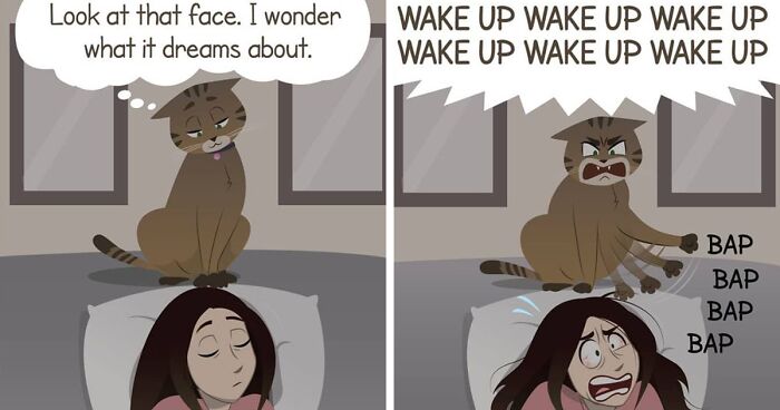 55 Funny Comics About Daily Struggles And Life With A Cat By 