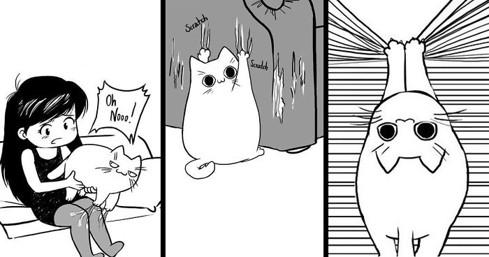 Artist Documents Relatable Situations Living With Two Cats (19 New Comics)