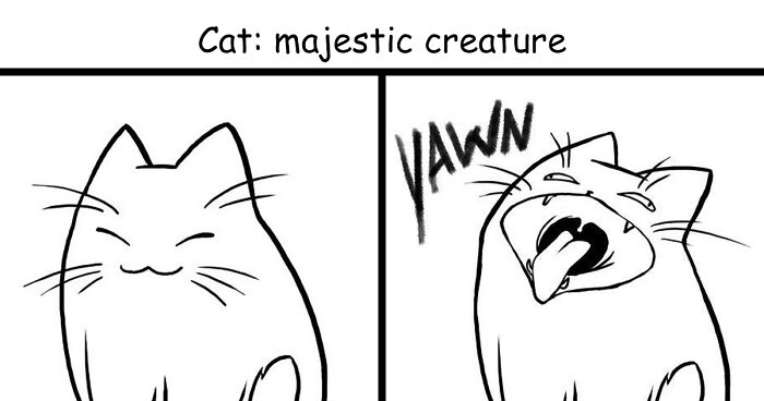 19 New Comics By Vernessa Himmler That Cat Owners Might Find Very Relatable