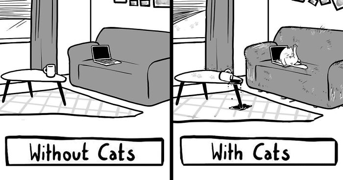 19 New Comics By Vernessa Himmler That Cat Owners Might Find Very Relatable