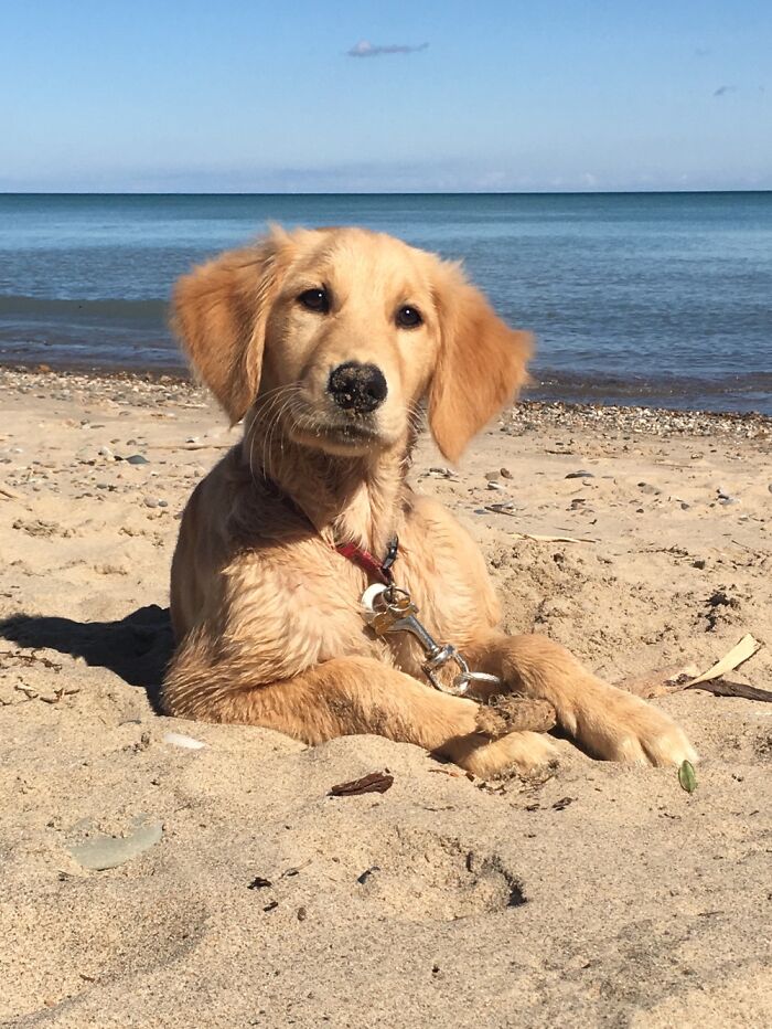 Beach Baby