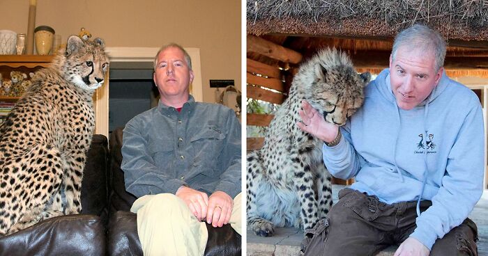 Meet Dolph, A Man Who Became Best Friends With A Wild Cheetah