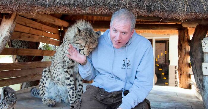 Cheetah Breeding Centre Worker Shares His Story Of Befriending A Wild Cheetah