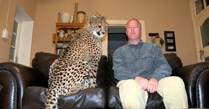 Meet Dolph, A Man Who Became Best Friends With A Wild Cheetah