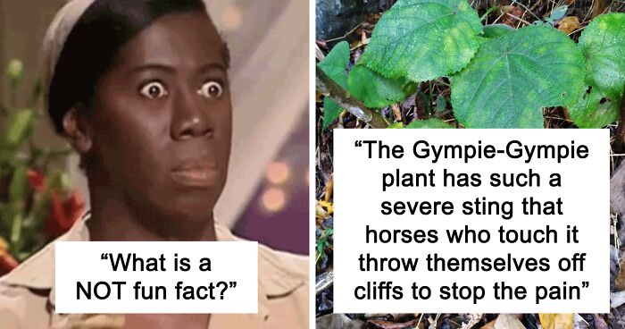 81 Real-Life Facts That Are As Fascinating As They Are Terrifying