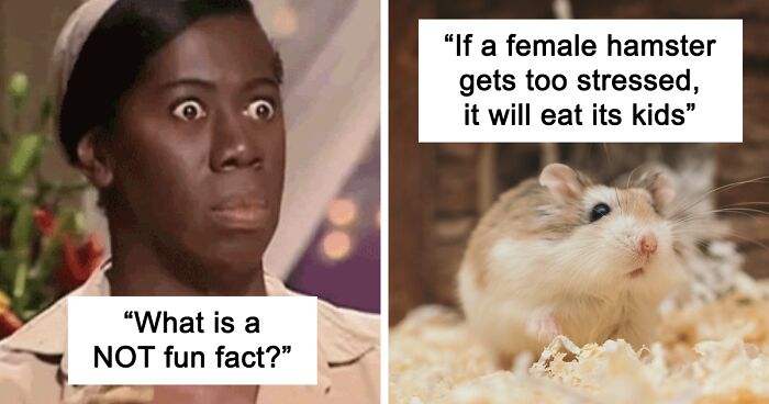 People Share 81 Random Not-So-Fun Facts That Keep Them Up At Night