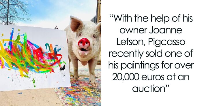 This Pig Enjoys Painting And Has Become The World's First Pig Artist