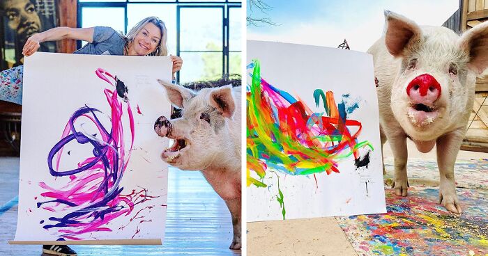 Meet Pigcasso, The Artistic Pig Whose Painting Was Sold For Over 20,000 Euros