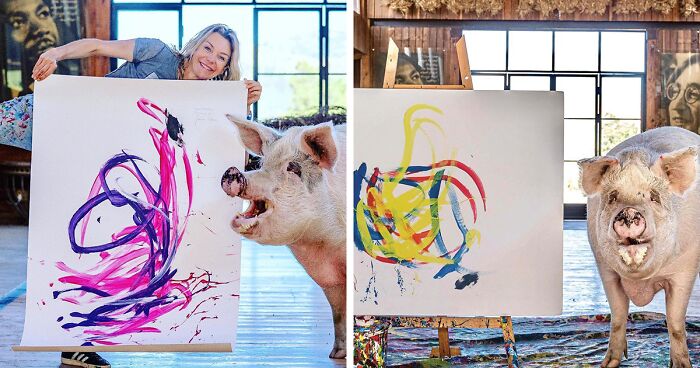 This Pig Enjoys Painting And Has Become The World's First Pig Artist