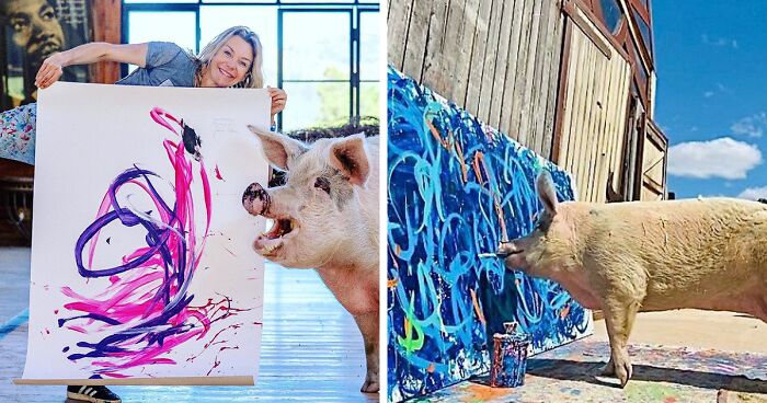 This Pig Enjoys Painting And Has Become The World's First Pig Artist