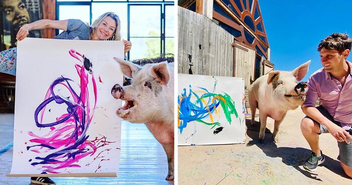 Meet Pigcasso, The Painter Pig Who Just Sold Its Latest Artwork For 20,000 Euros