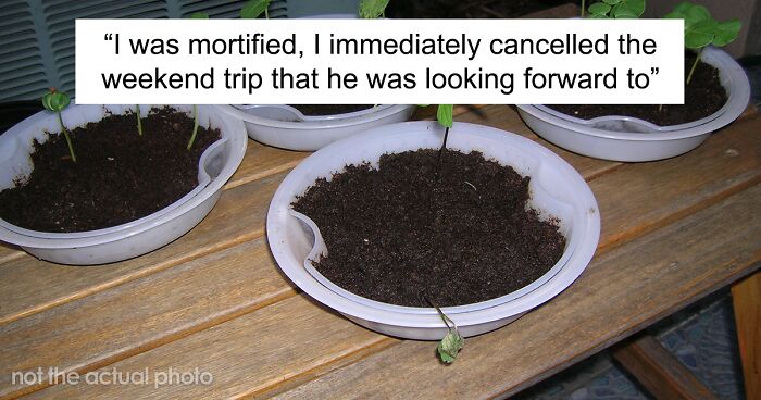 This Plant Lover Wonders If He Was Right For Calling Off A Family Trip After His 16 Y.O. Stepson Watered The Plants With Bleach Out Of Revenge