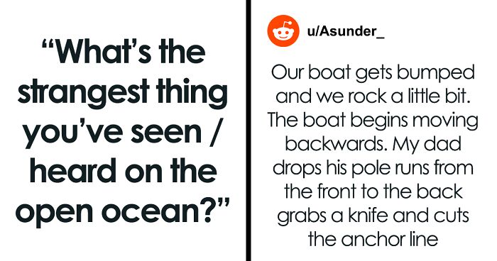 37 Chilling And Unexpected Things That People In This Online Group Witnessed In The Open Waters