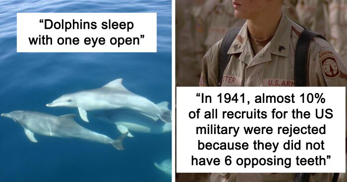 35 New ‘Today I Learned’ Facts That Prove It’s Never Too Late To Learn Something New