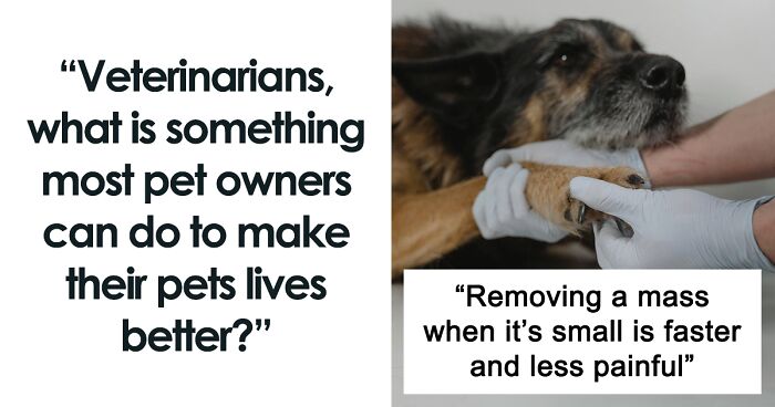 Someone Asks Vets To Share “What Is Something Most Pet Owners Can Do To Make Their Pets’ Lives Better?”, 66 Deliver