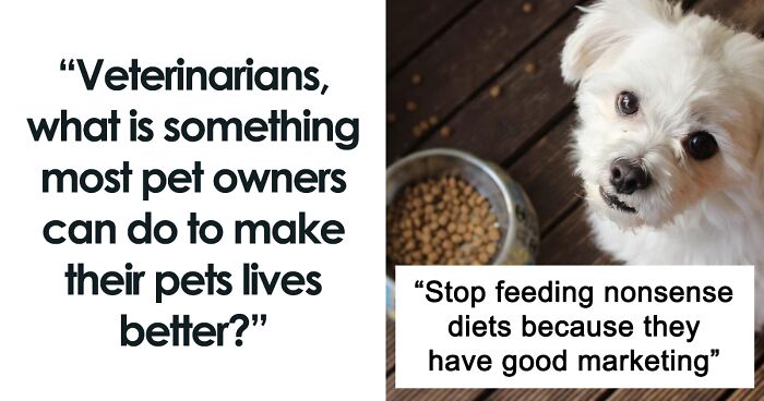 66 Tips And Tricks On How To Improve Your Pet's Quality Of Life, As Shared By These Vets