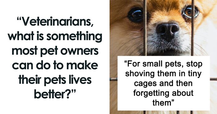 66 Things Pet Owners Should Know, According To Vets