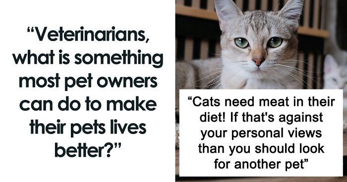 66 Things Pet Owners Can Do To Improve Their Animal's Lives, As Shared In This Viral Thread By Vets