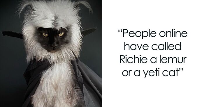 Meet Richie, The Cat Who Went Viral For His Extravagant Look