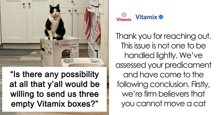 Woman Asks Blender Manufacturer For Empty Boxes After Her Cats Take New Box And Its Contents ‘Hostage’, Facebook Post Goes Viral