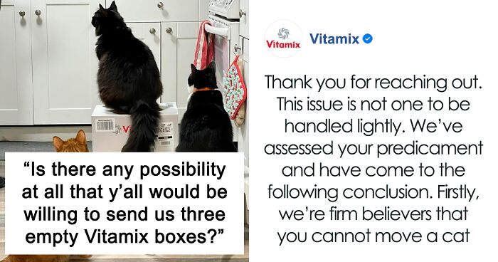 After 2.5-Week ‘War’ With 3 Cats, Woman Contacts Vitamix Asking For Empty Boxes To Replace The One Her Cats Took Over With New Blender Inside