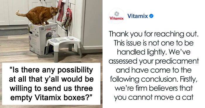 Couple Asks Blender Manufacturer Vitamix For Empty Boxes After Cats Take New Blender And Box ‘Hostage’