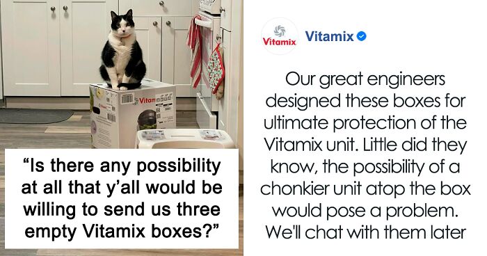 After 2.5-Week ‘War’ With 3 Cats, Woman Contacts Vitamix Asking For Empty Boxes To Replace The One Her Cats Took Over With New Blender Inside