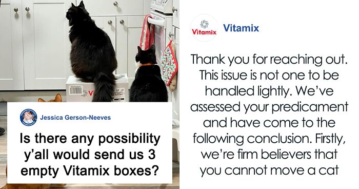 Oddly Funny Facebook Post By Woman Asking Blender Company For Empty Boxes Since Her Cats Took New Blender And Box ‘Hostage’ Goes Viral