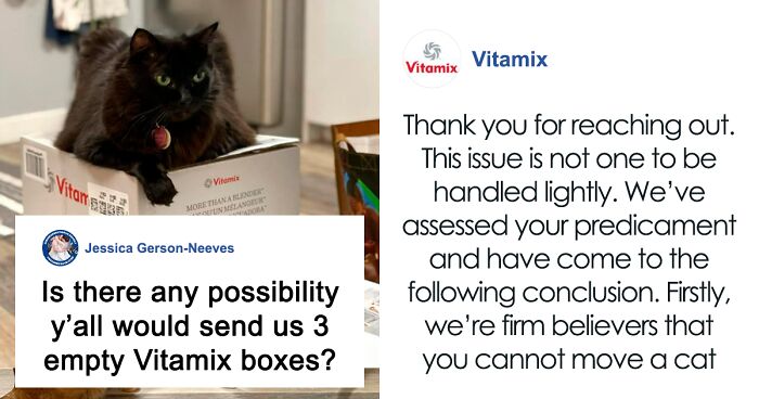 After 2.5-Week ‘War’ With 3 Cats, Woman Contacts Vitamix Asking For Empty Boxes To Replace The One Her Cats Took Over With New Blender Inside