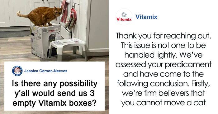 After 2.5-Week ‘War’ With 3 Cats, Woman Contacts Vitamix Asking For Empty Boxes To Replace The One Her Cats Took Over With New Blender Inside