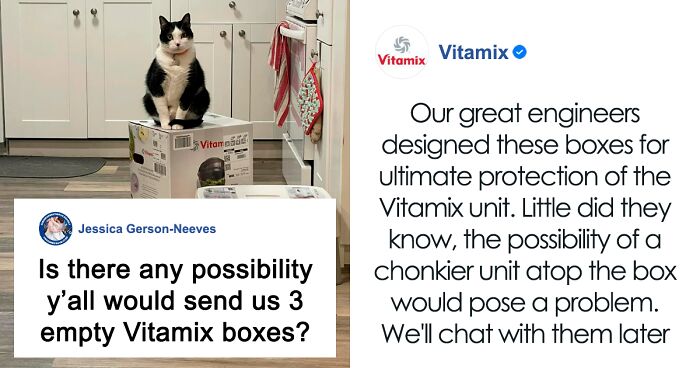 After 2.5-Week ‘War’ With 3 Cats, Woman Contacts Vitamix Asking For Empty Boxes To Replace The One Her Cats Took Over With New Blender Inside