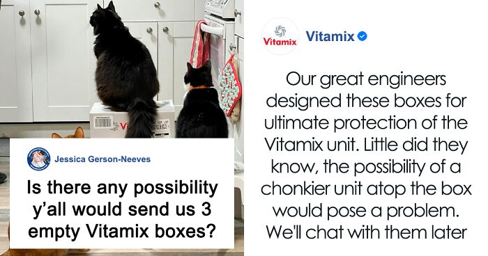 Oddly Hilarious Facebook Post Of A Woman Asking Blender Manufacturer For Empty Boxes As Her Cats Took New Blender And Box ‘Hostage’ Goes Viral